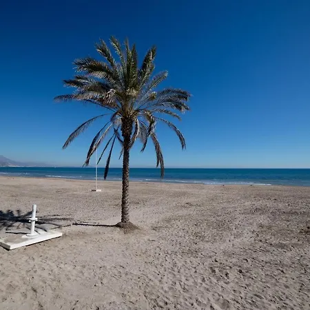 Moonkey - Lanzas * El Campello